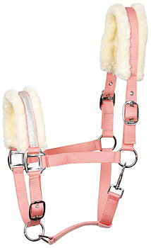 Harry´s Horse Grimma Lyrics Pink Lady