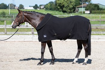 Harry´s Horse Fleecetäcke med Roll Upp Hals Blå och Svart