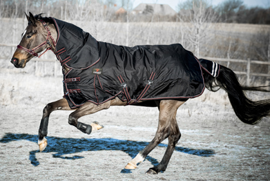 CATAGO Endurance Utetäcke 500g - 3