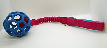 Dog´s Craft Hollee Basic S