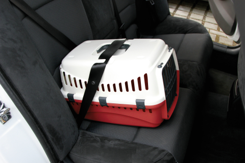 Kerbl Transportbur Expedition finns i 3 färger - 4