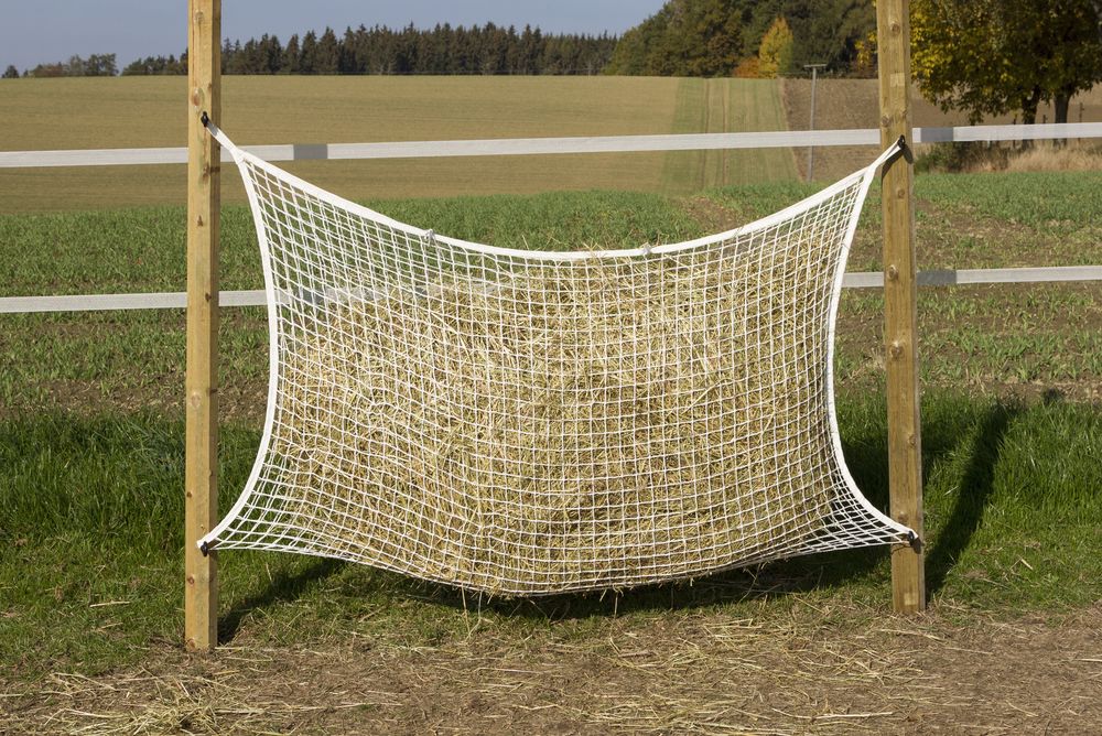 Kerbl Hönät olika storlekar - 5