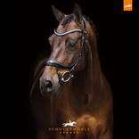 Schockemöhle Träns Prem Bridle Equitus Beta Svart/Silver  - 2