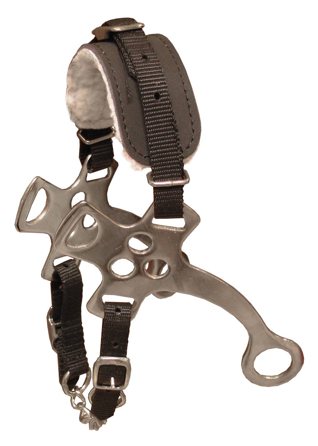Globus Hackamore