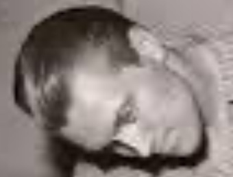 Jaakko Niemi