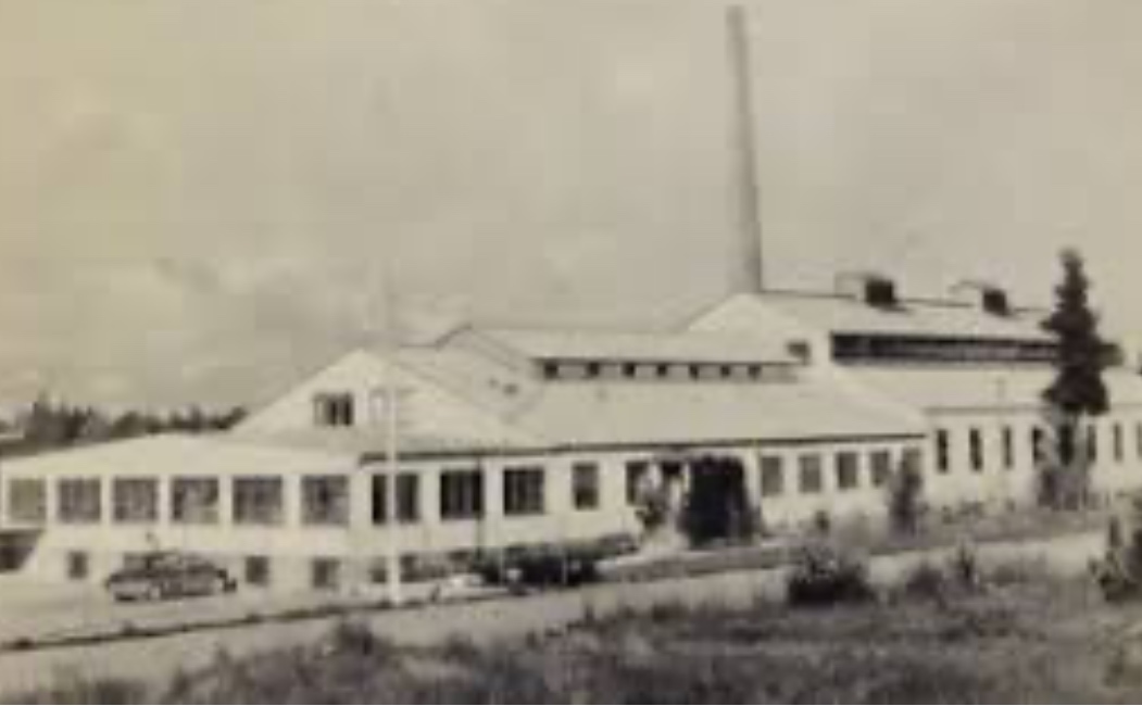 Åseda