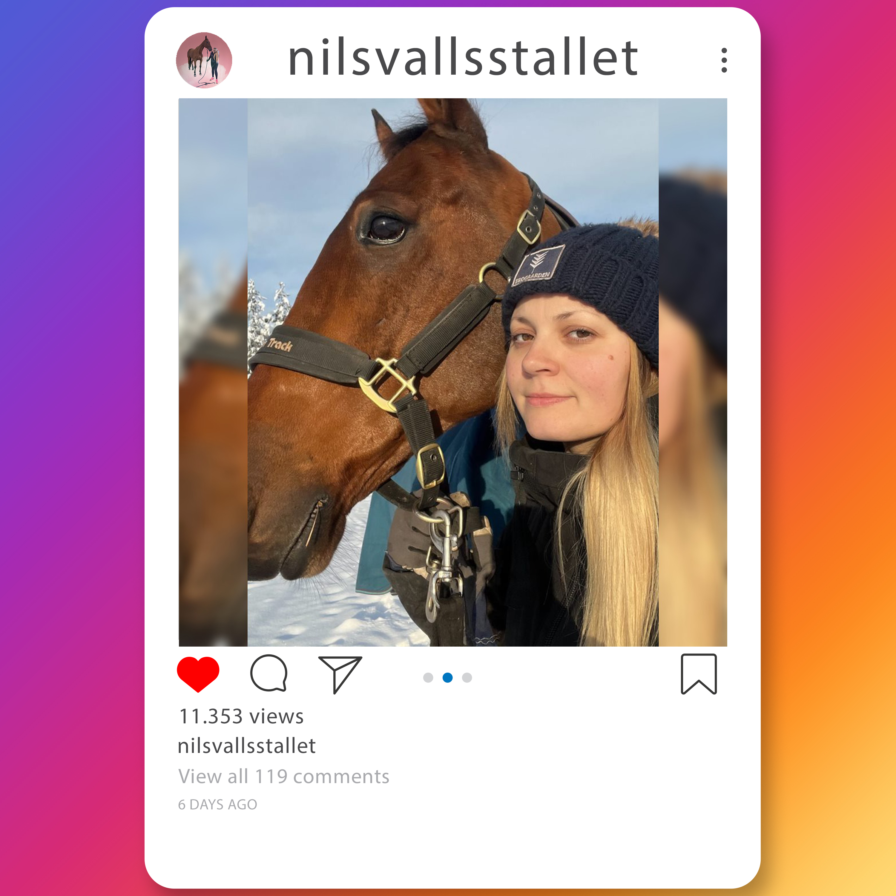 sara-jonasson-insta