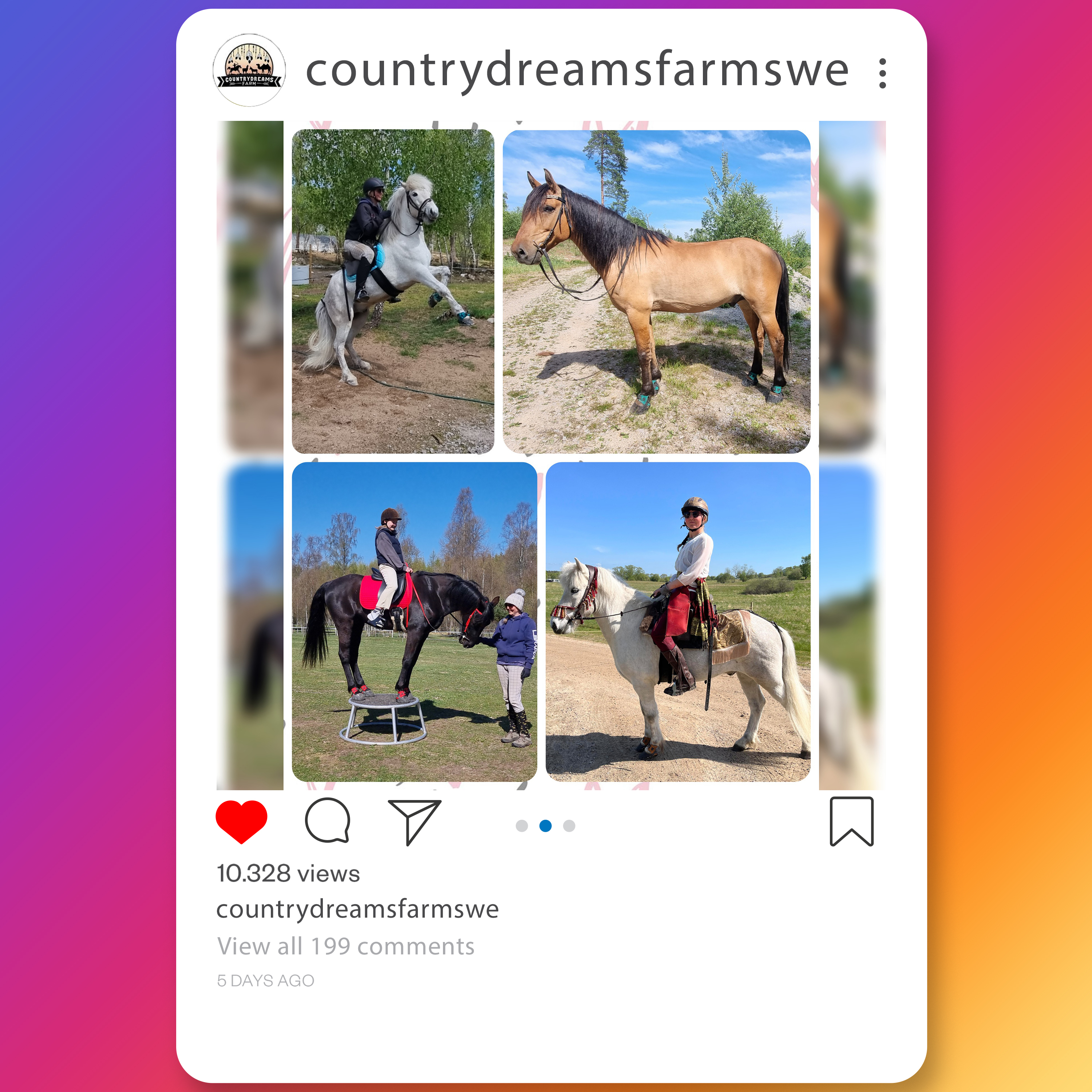 country-dreams-farm