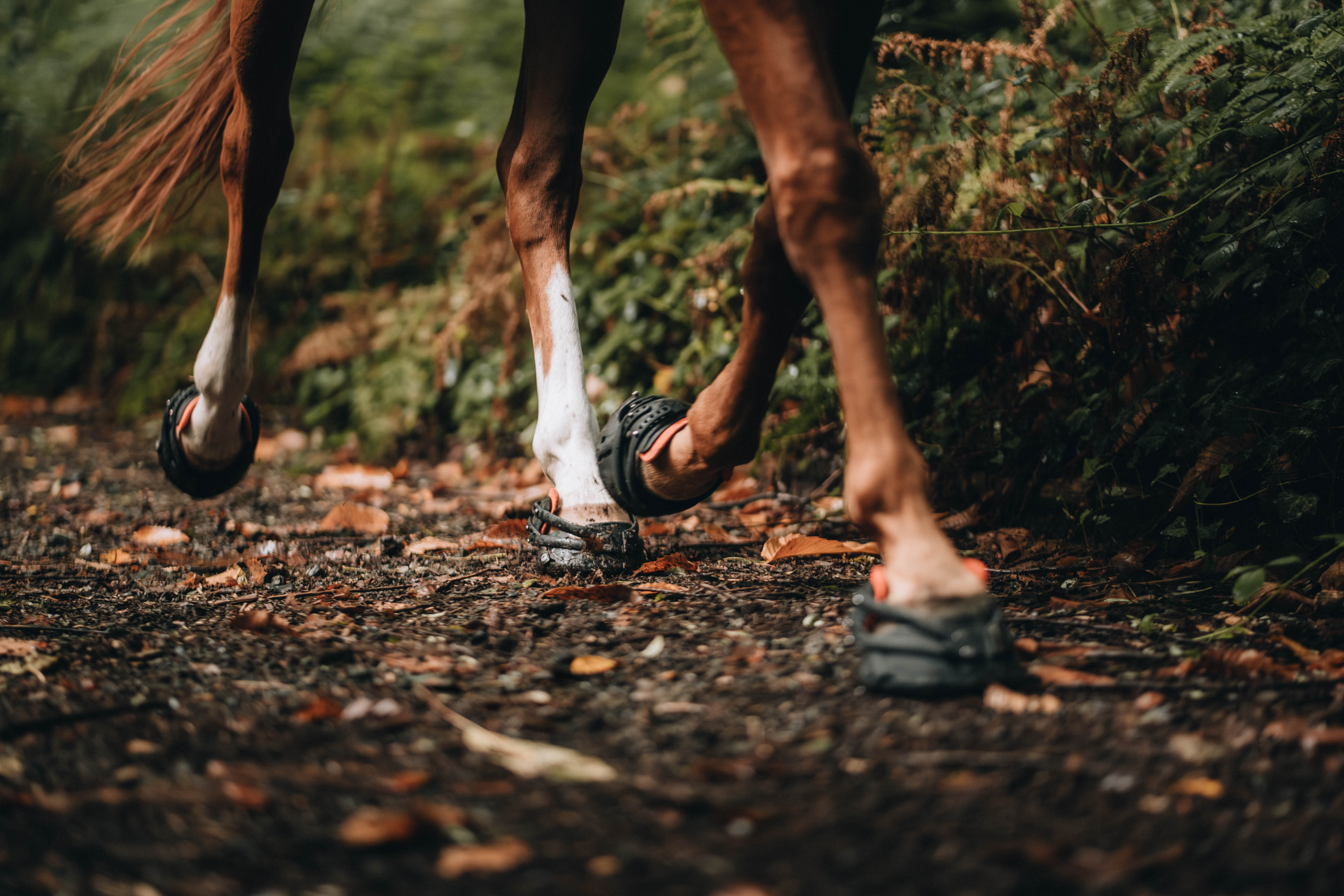 Pioneer Sports Hoof Boots