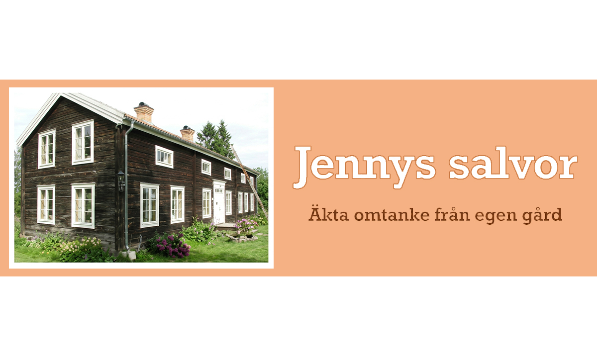 Jennys salvor