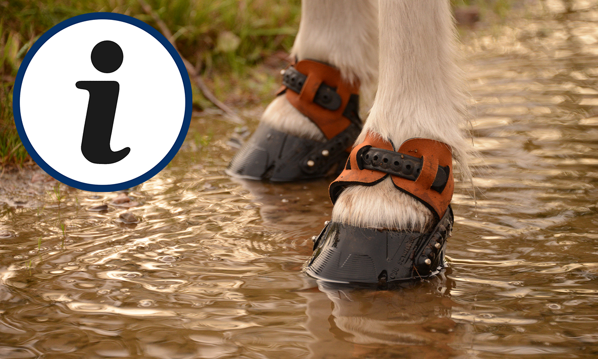 Flex Hoof Boots
