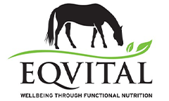 Eqvital