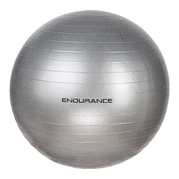 Endurance Gym Ball 65 Cm