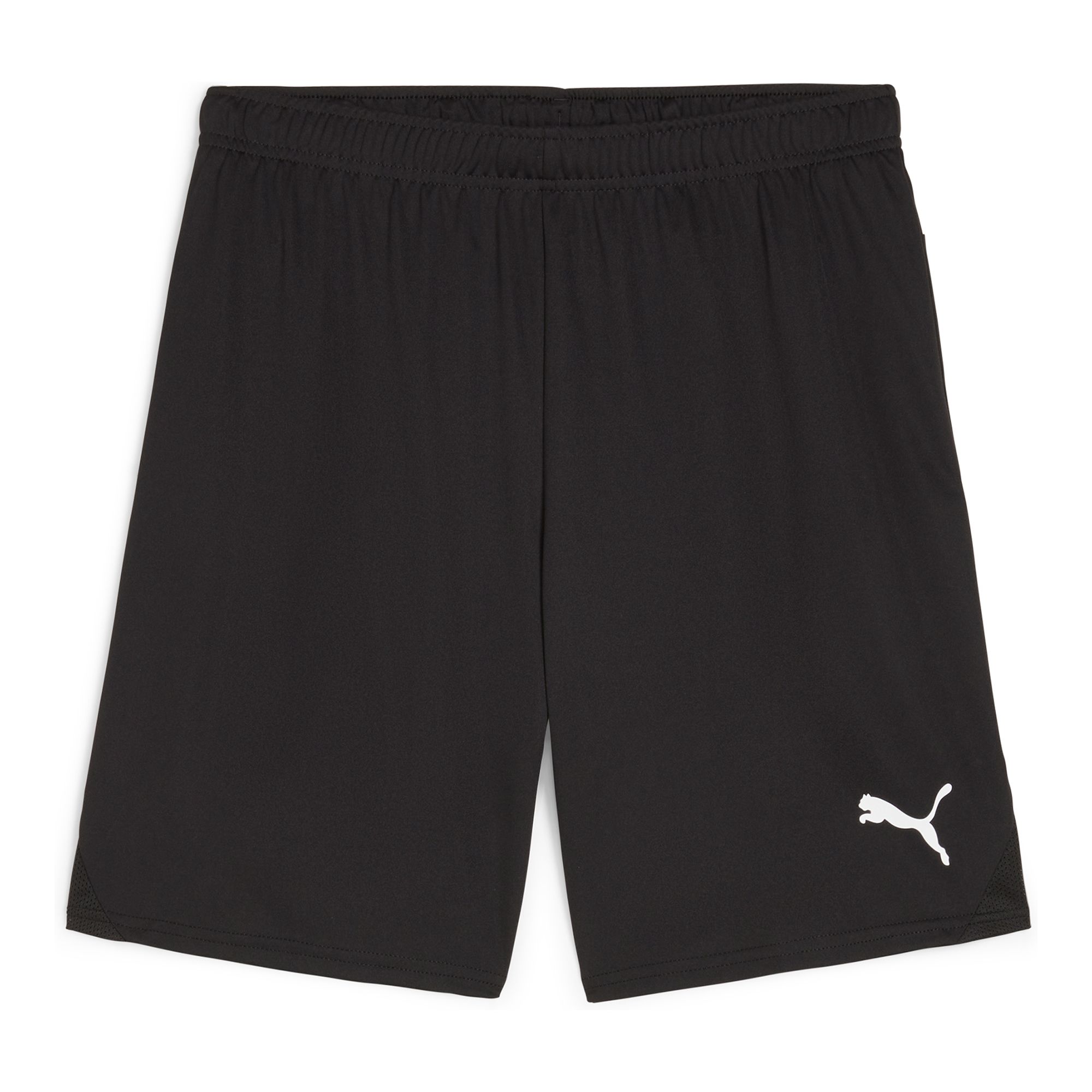 Puma Teamgoal Shorts Träningsshorts Sr (IF Hansa/Hoburg)