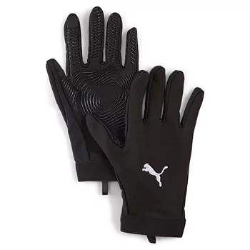 Puma WINTERIZED Player Glove  (Jämshögs IF/Olofströms IF)