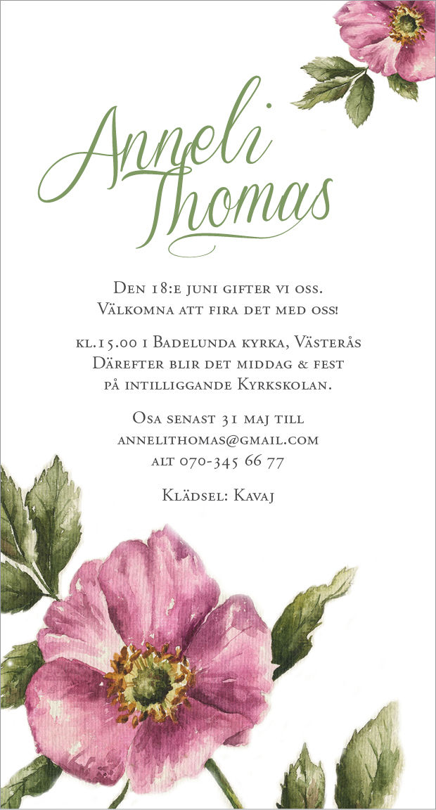 Nyponros avlång