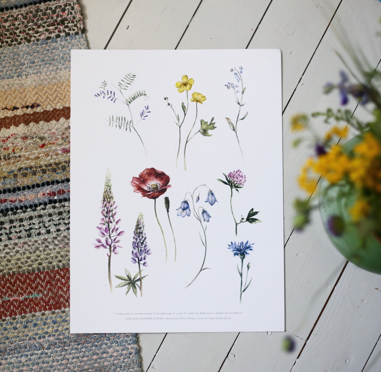 Ängsblommor 21x30