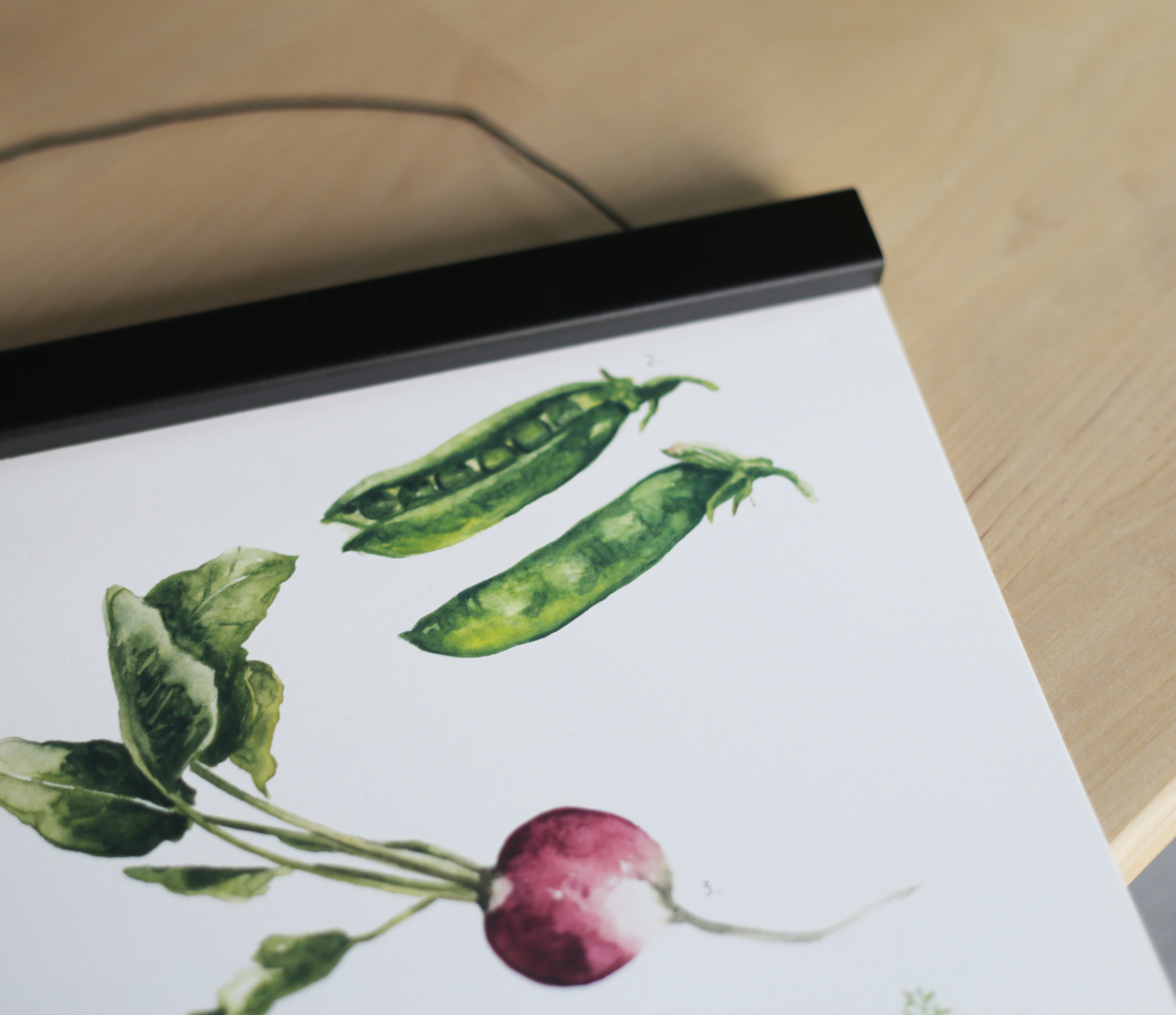 Posterhängare svart 30 cm