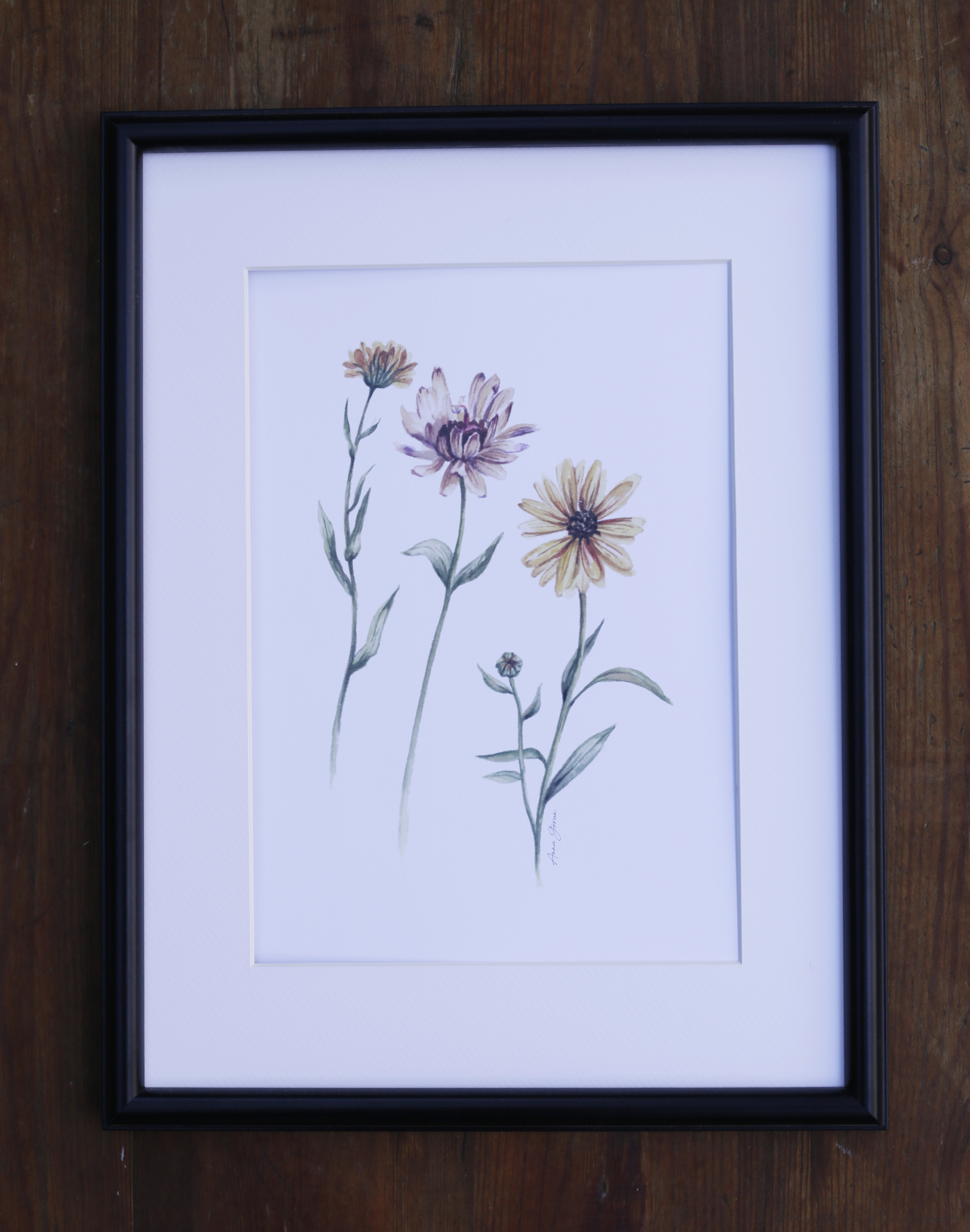 Ringblomma 21x30