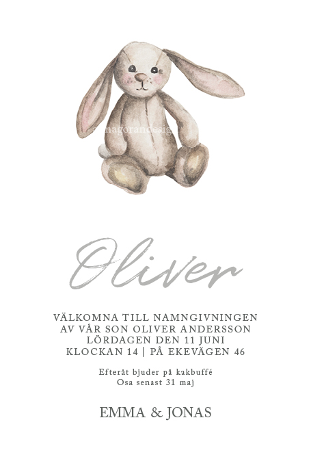 Kanin akvarell - 4