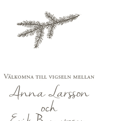Liten grankvist - 2