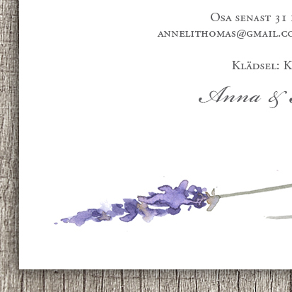 Lavendel kvadrat - 2