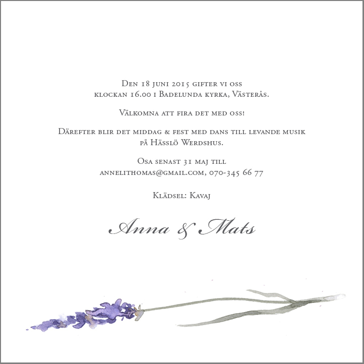 Lavendel kvadrat - 3