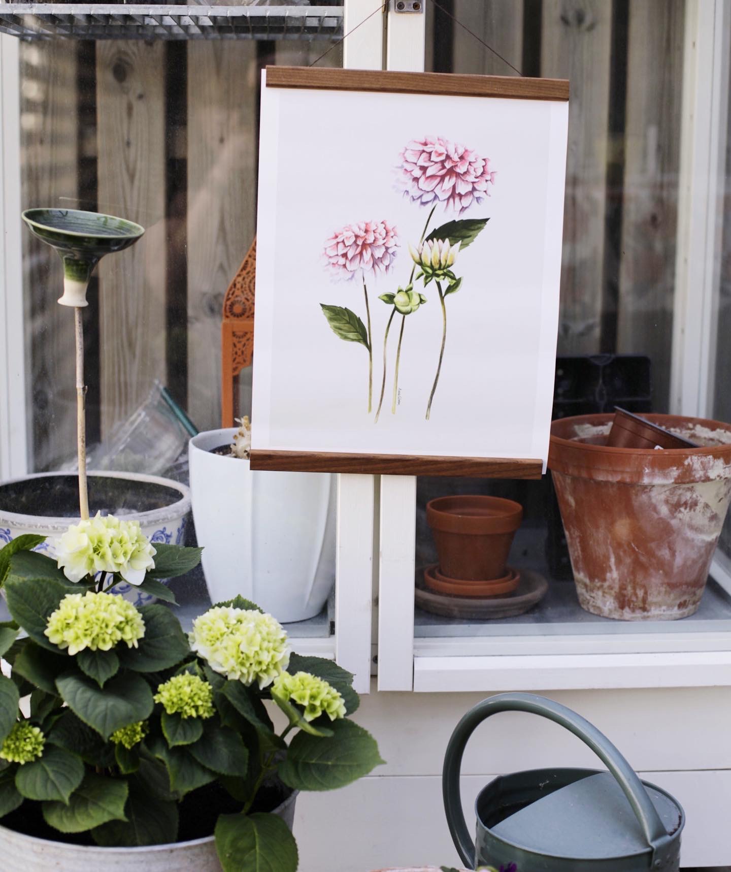 Poster Dahlia