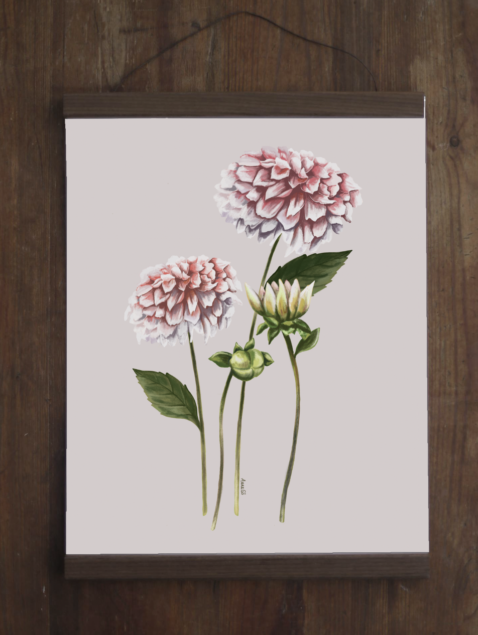 Poster Dahlia