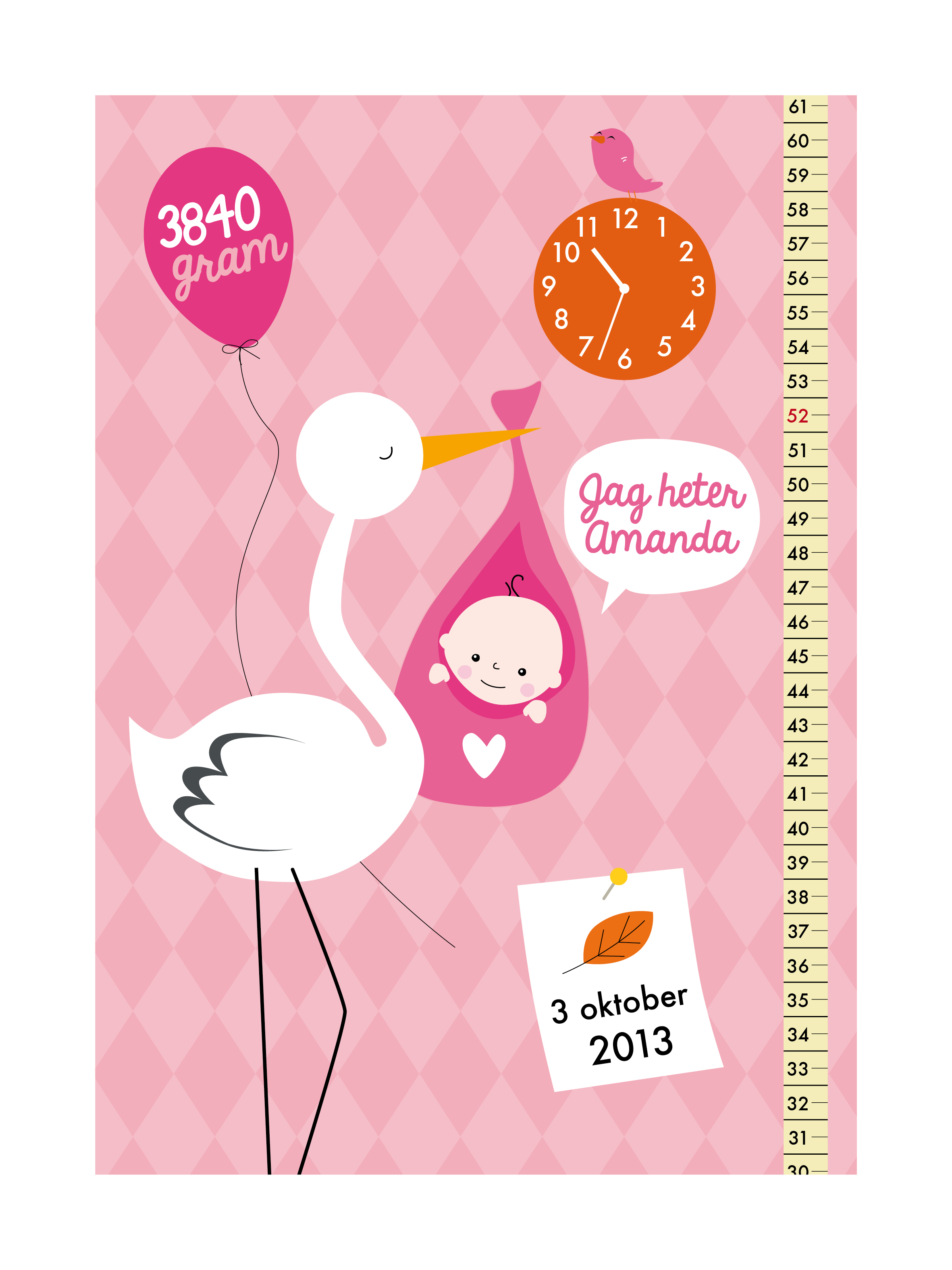 Födelsetavla - Stork
