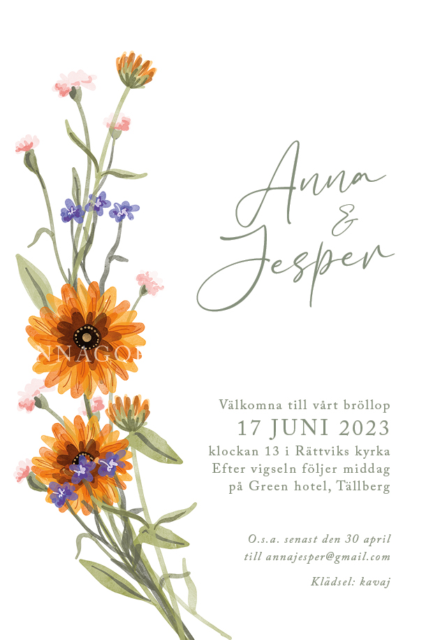 Sensommarblomster