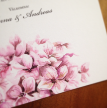 Hortensia kvadrat