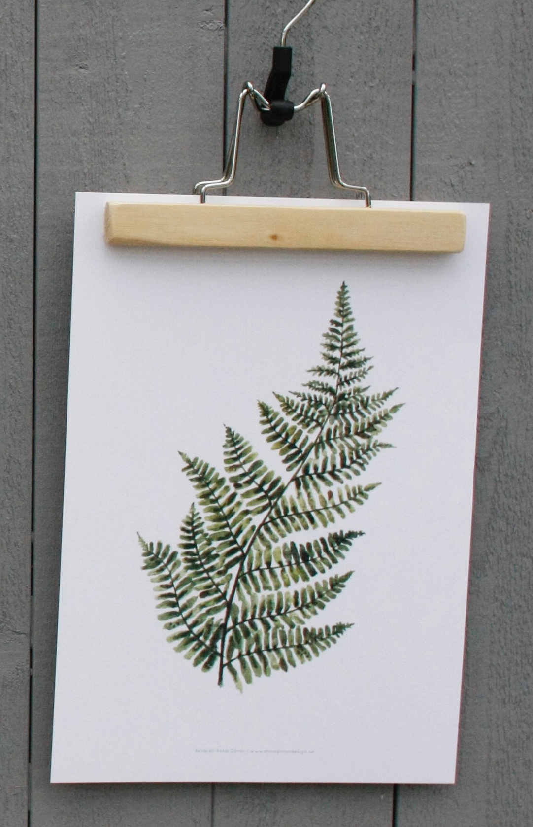 Poster Ormbunke