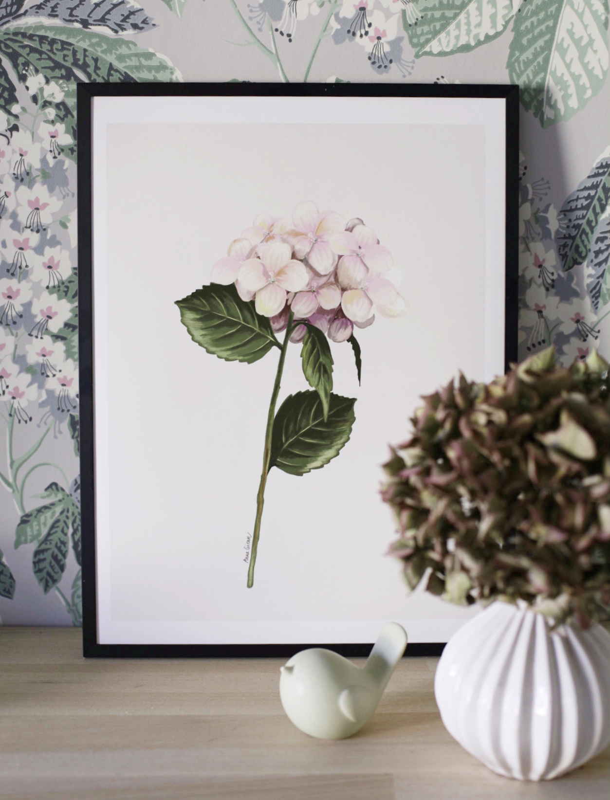Rosa hortensia
