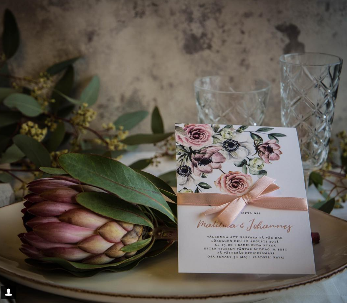 Rosa floral