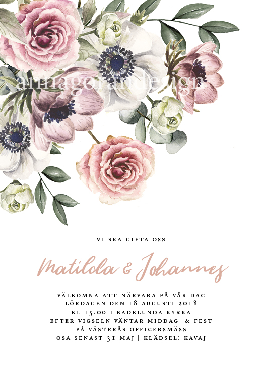 Rosa floral - 2