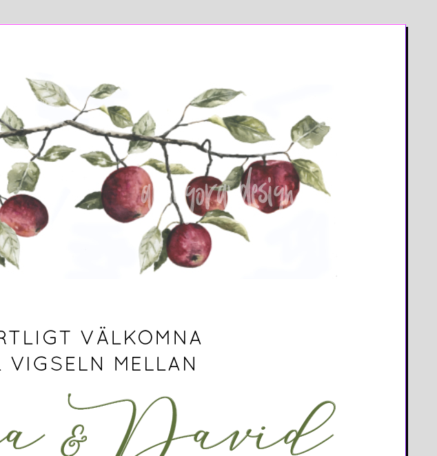 Äppelkant - 3