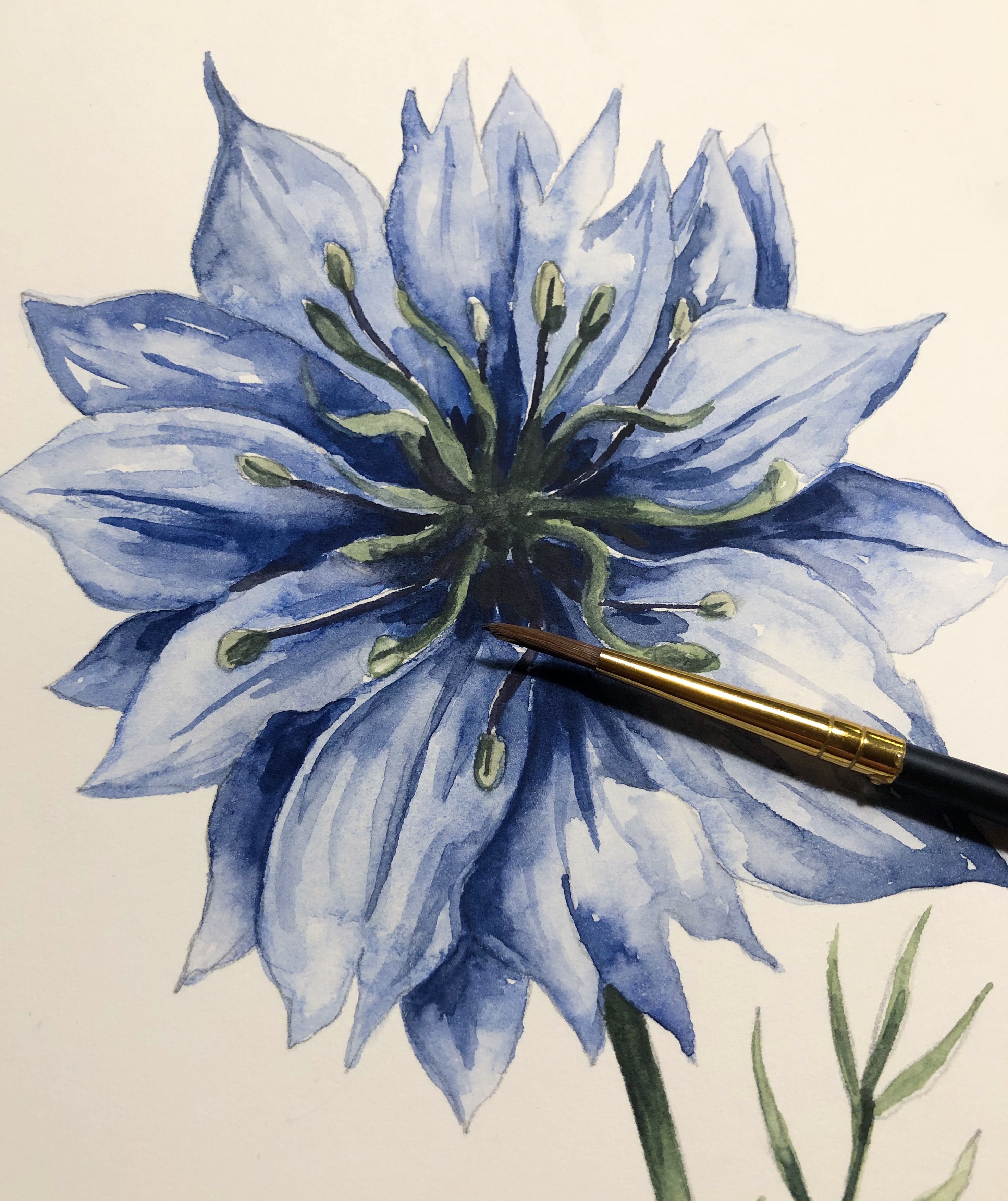 Personlig illustration - 4