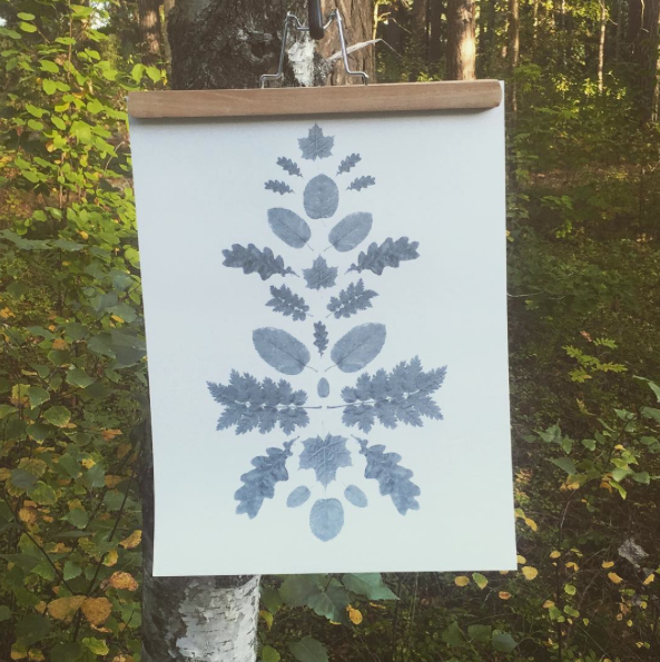 Lövkurbits