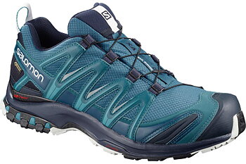 Salomon XA PRO 3D GTX