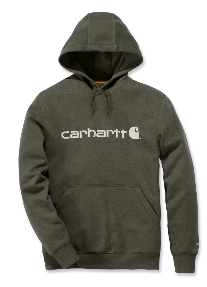 Carhartt DELMONT GRAPHIC HOODED SWEATSHIRT