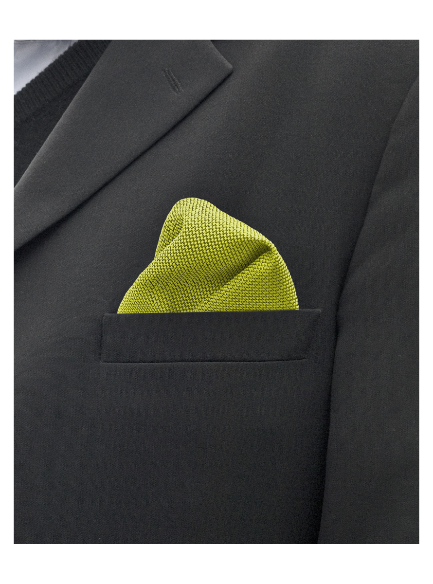 Ernst Alexis 2000 ACCESSORIES / SIDEN Näsduk - 8