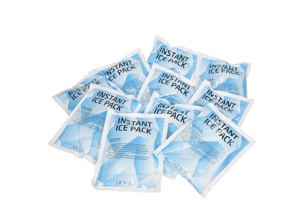 PROLINE Ice Pack 24 pk - 2