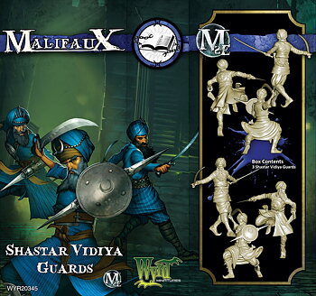 Shastar Vidiya Guards (3 Pack)