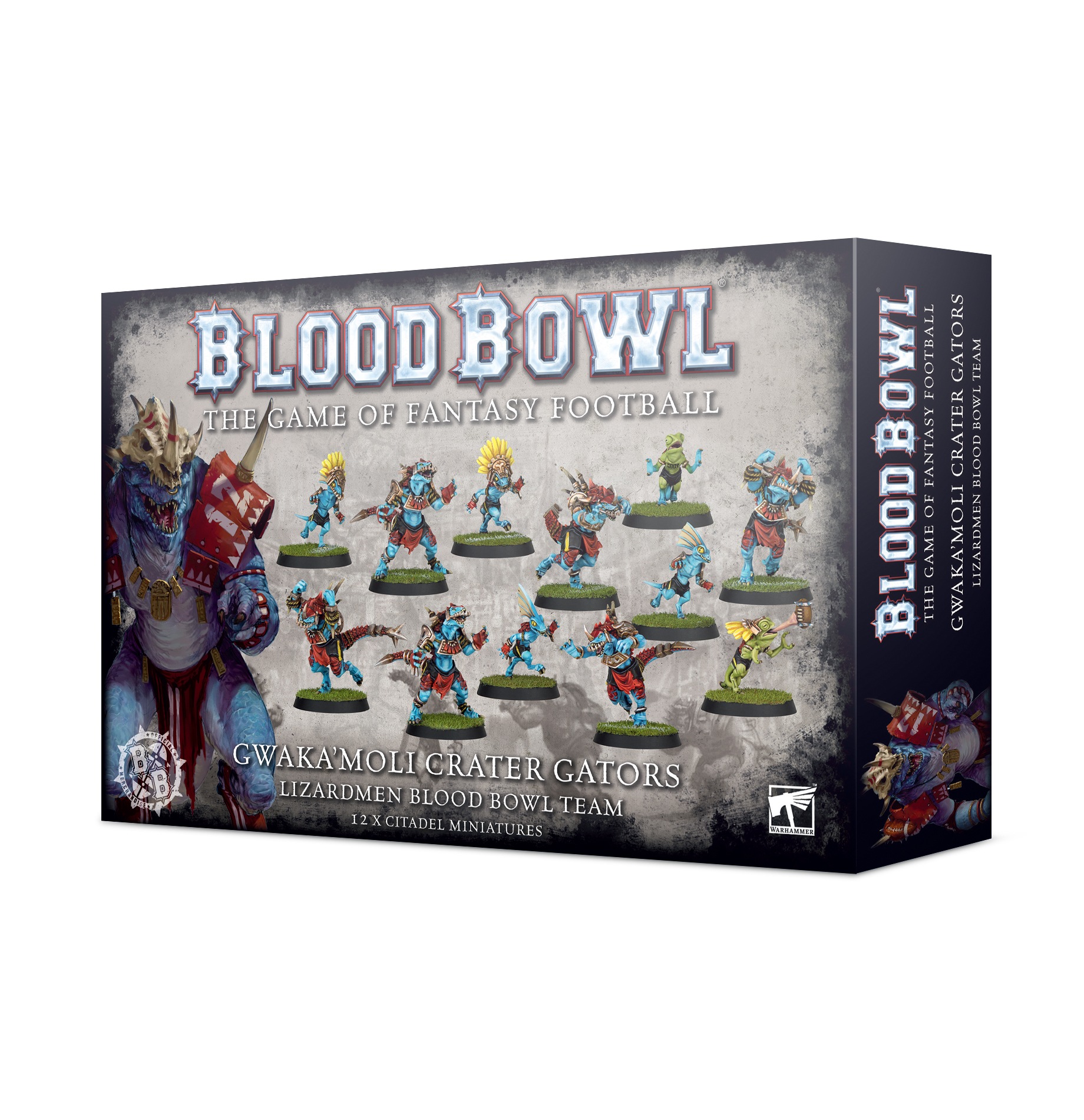 Blood Bowl: Lizardmen Blood Bowl Team - Gwaka'moli Crater Gators