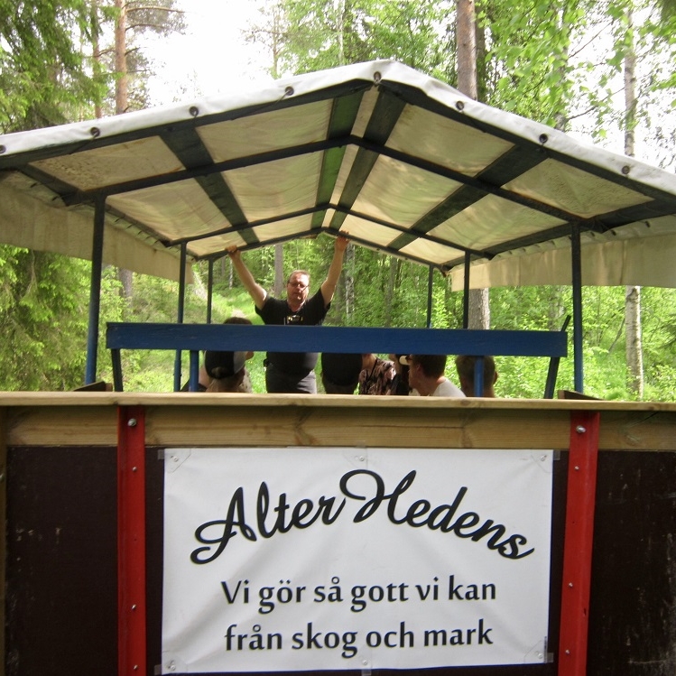 Rabarber Safari -  traktor & vagn - 4