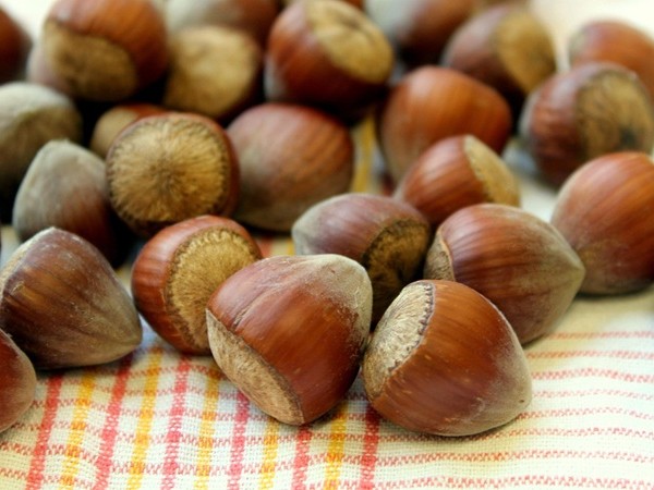 wienernougat