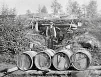 tjärsalva