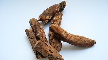 Rabarber medicinalväxt