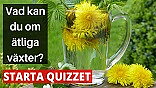 Quiz - Vad kan du om ätliga växter?